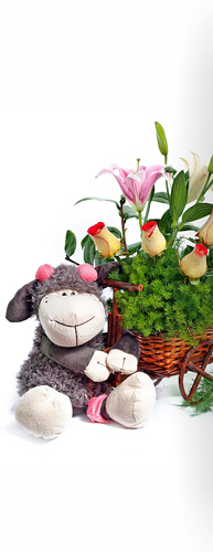 Fotografía Publicitaria